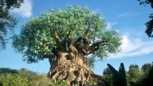 Animal Kingdom