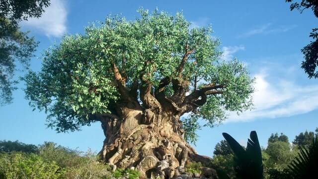 Animal Kingdom