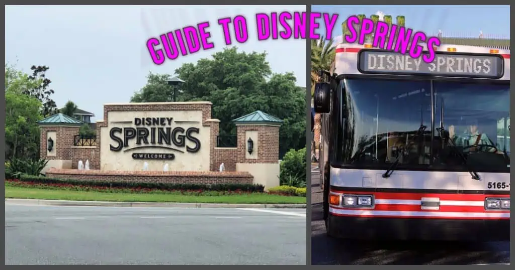Ultimate Guide to Disney Springs