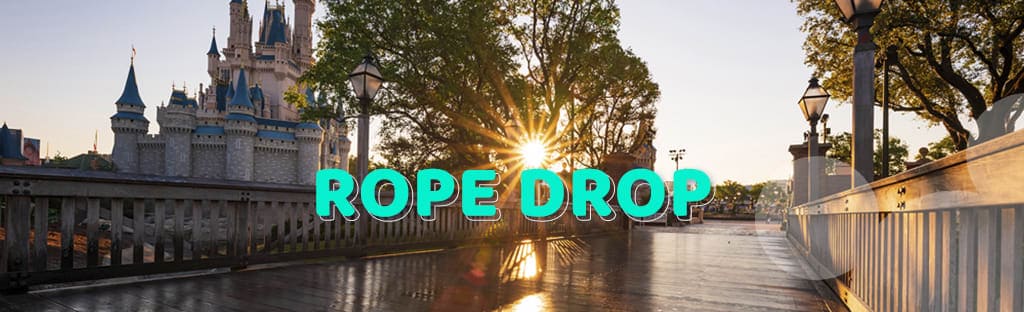 Rope Drop at Disney World