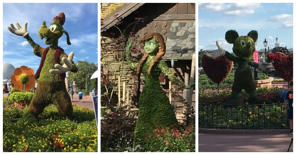Goofy, Anna, and Mickey topiaries at EPCOT's Flower & Garden Festival