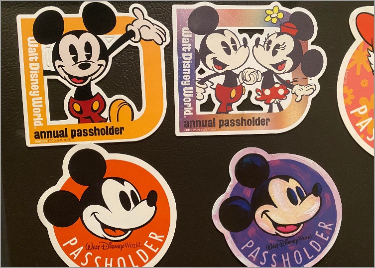 Disney Annual Passholder Magnets on our fridge.