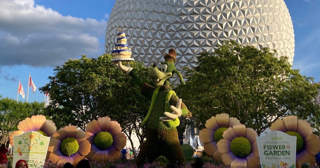 Goofy topiary at EPCOT's Flower and Garden festival held in the Spring of each year.