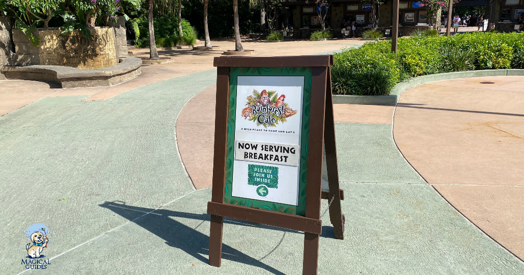 Breakfast at Rainforest Cafe right outside of Animal Kingdom