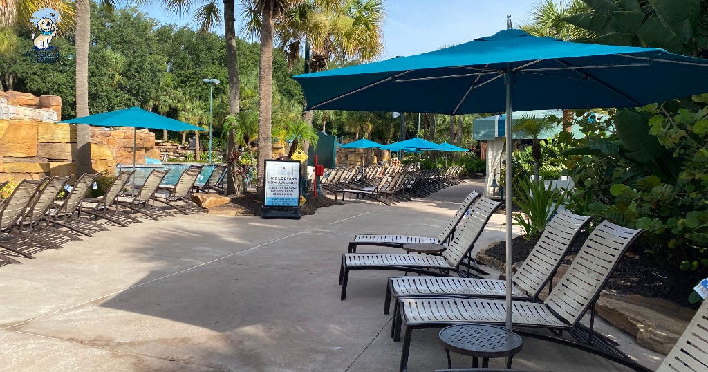 Lounge chairs at the grotto pool at the Dolphin pool. (Photo by Bayley Clark for Magical Guides)