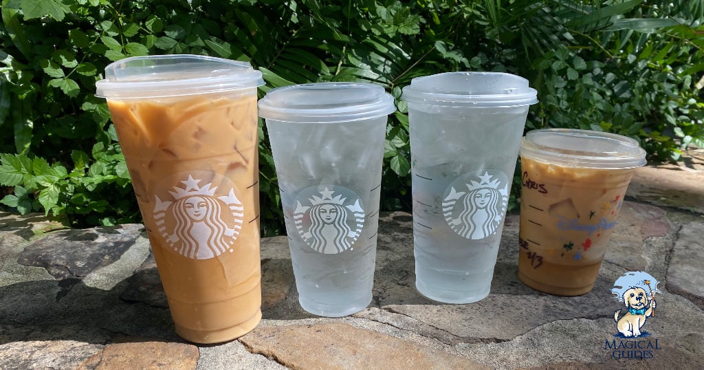 Cold Brew Coffees with Vanilla Sweet Cream, and Large Ice Waters from Creature Comforts inside Animal Kingdom.