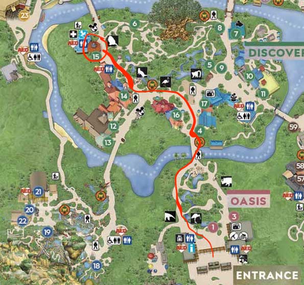 Here is a map of how to get to my personal favorite coffee spots in Animal Kingdom. 