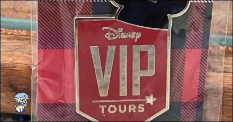 Everything you need to know about Disney VIP tours