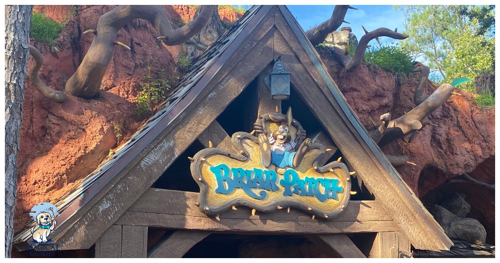 The Briar Patch next to Splash Mountain sometimes opened to sell Splash Mountain items.