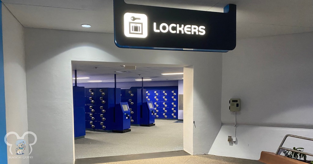 You can store any picnic or bags in the lockers at any of the parks like these at EPCOT.