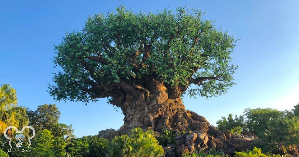 The Tree of Life a magnificent cement tree with intricate animals making up the base. 