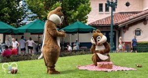 Chip and Dale having a picnic at Disney's Hollywood Studios