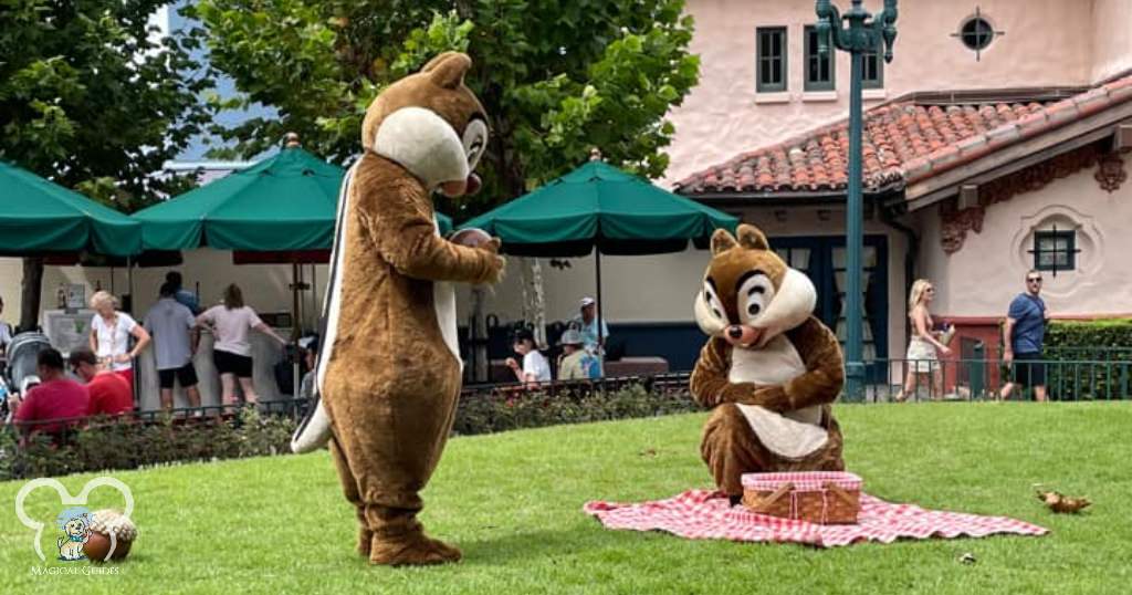 Can You Bring Food into Disney World? Packing a picnic