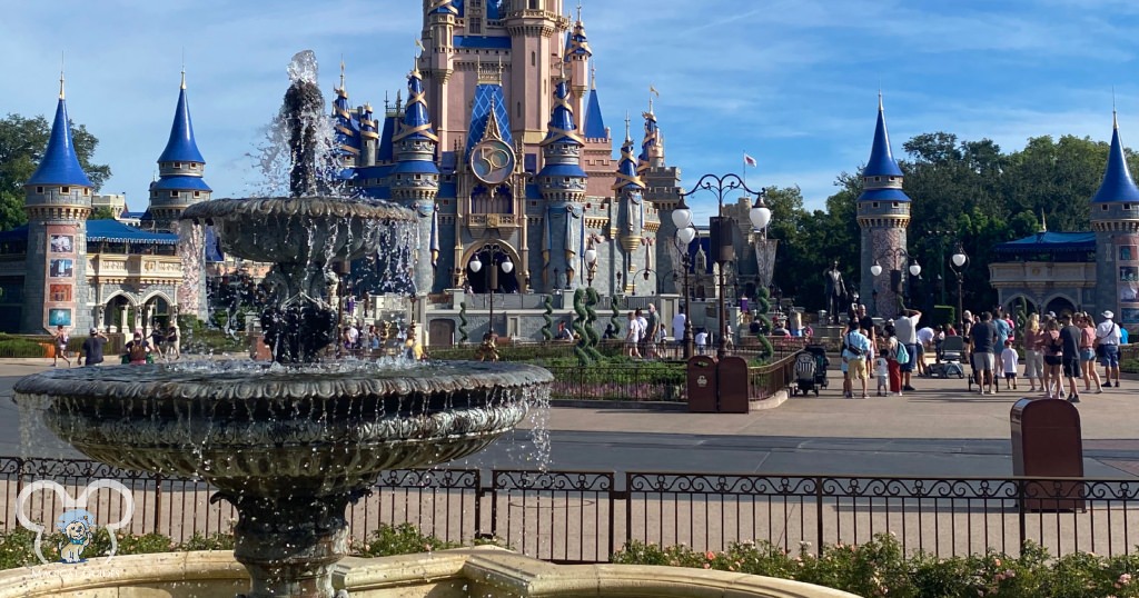 Magic Kingdom at Rope Drop in the early AM.