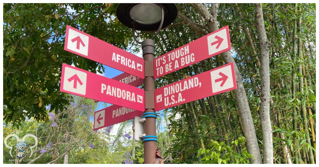 Sign in Animal Kingdom directing guests to Africa, Pandora, It's tough to be a bug, and Dinoland USA.