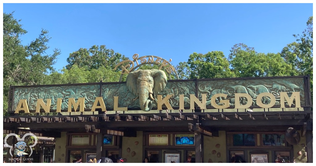 Animal Kingdom Entrance Sign where the adventure begins.