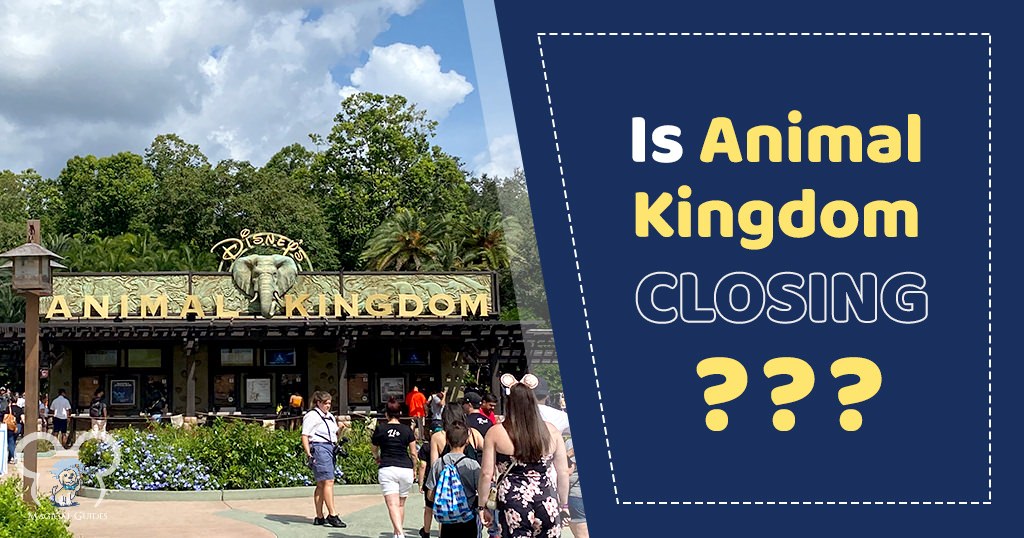 Is Animal Kingdom Closing? This full day park is rumored to be closing.