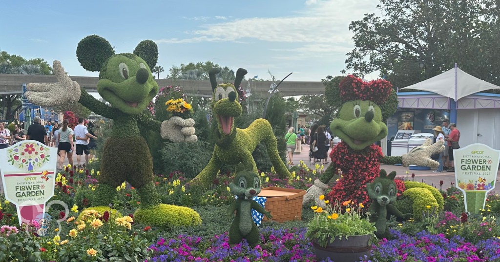 Mickey Mouse and Minnie Mouse topiary at the EPCOT Flower & Garden Festival 2023. These two lovebirds are always a sweet addition to the festival.