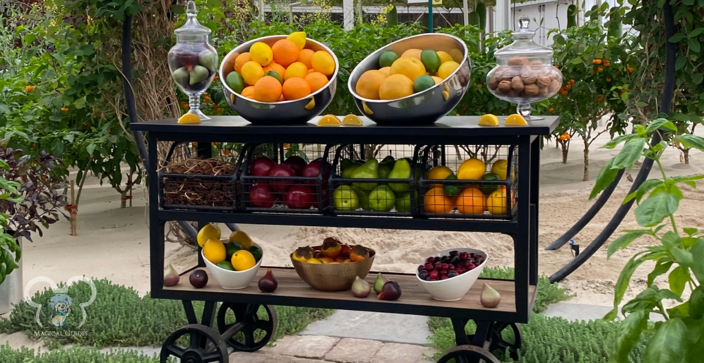 oranges, lemons, limes, pears, apples, cherries on display in the biosphere dome on the tour on Living with the Land.