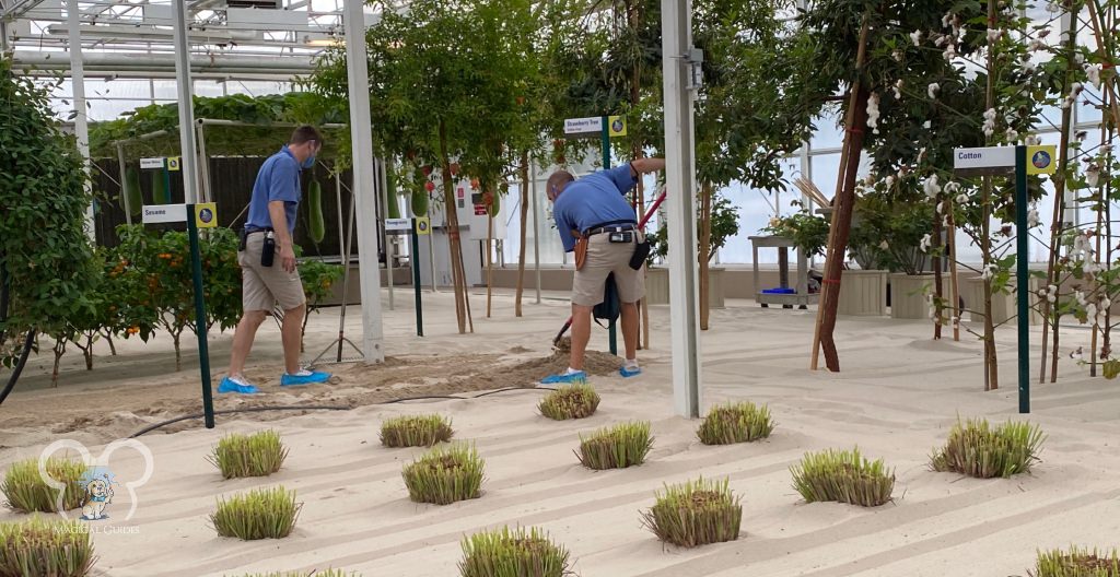 Workers setting up a new crop inside the tropical biosphere.