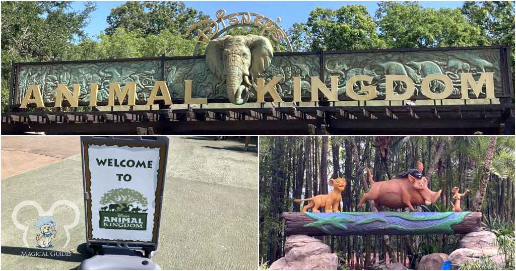 Top: Animal Kingdom entrance sign. Bottom Left: Animal Kingdom welcome sign. Bottom Right: Photo spot in Animal Kingdom with Simba, Timon, and Pumbaa.