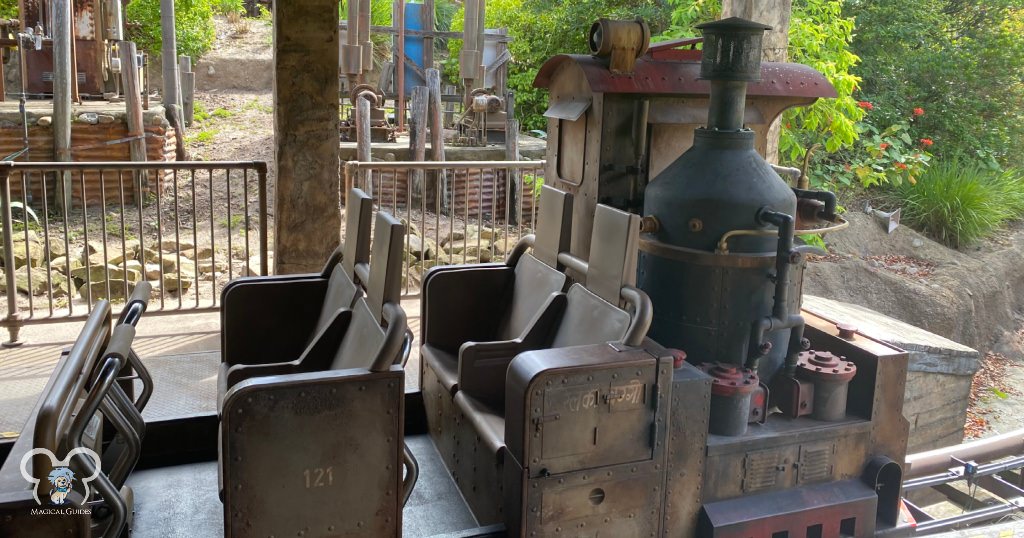 When you ride in the back of the car of Expedition Everest in Animal Kingdom, you're the caboose of the train coming down the tallest coasters on property.