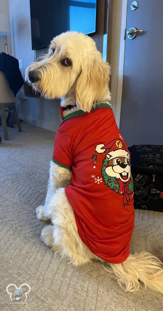 For Christmas at the Bonnet Creek JW Marriott we got Walt a Buc-ee Christmas shirt. He wasn't thrilled.