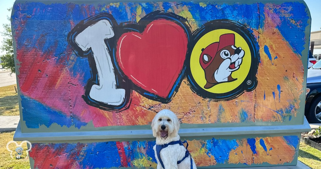Buc-ee's has great walking area for dogs.  Walt is here posing in front of some of the art that Buc-ee's has covering up utility boxes.