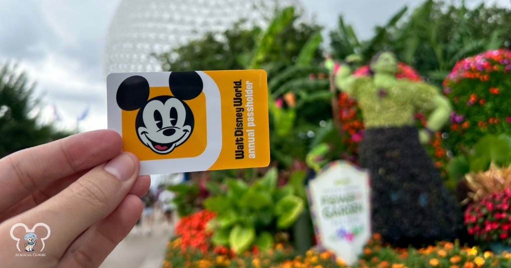 Passholder card shown in front of EPCOT is used to get into the parks, they also offer one for your phone via the My Disney Experience app.