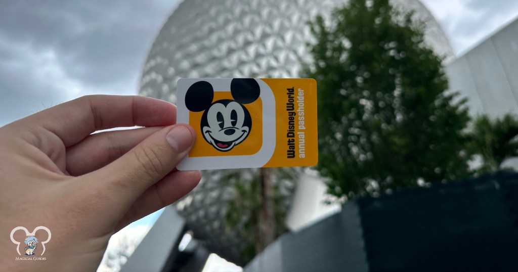 Passholder card used to get into the parks, they also offer one for your phone via the My Disney Experience app.