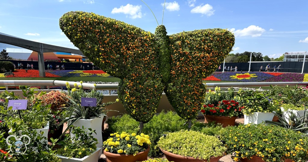 Beautiful March day at the EPCOT International Flower & Garden Festival in Disney World.