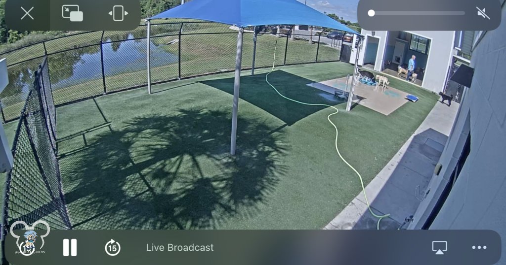 Pet Paradise Splash Pad. You can watch live cameras to check in on your dog as they play.