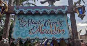 Check out the Aladdin Ride in Disney World to enter a whole new world!
