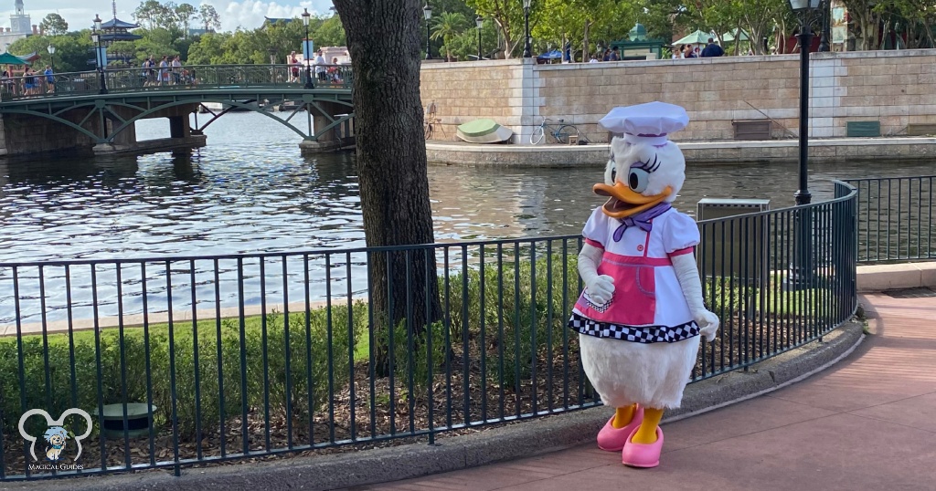 Daisy Duck going to greet guests in her Festival Chef Outfit at her Character Meet and Greet near the EPCOT International Gateway entrance.