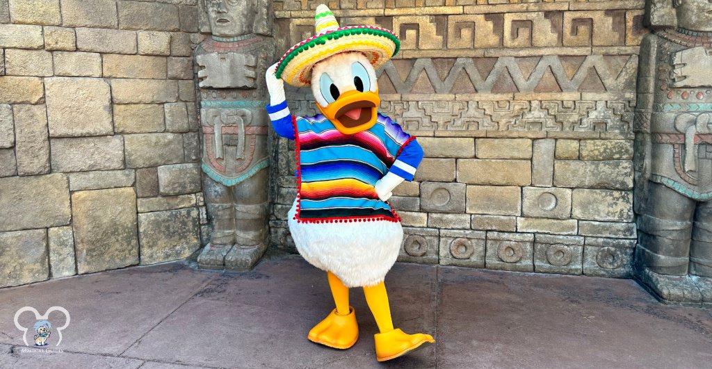 Meet Donald in a sombrero right outside of the Mexico Pavilion in EPCOT.