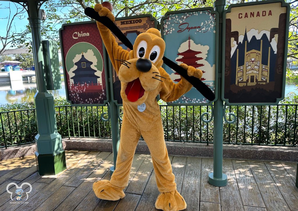 Pluto hanging out at the Gazebo in EPCOT.