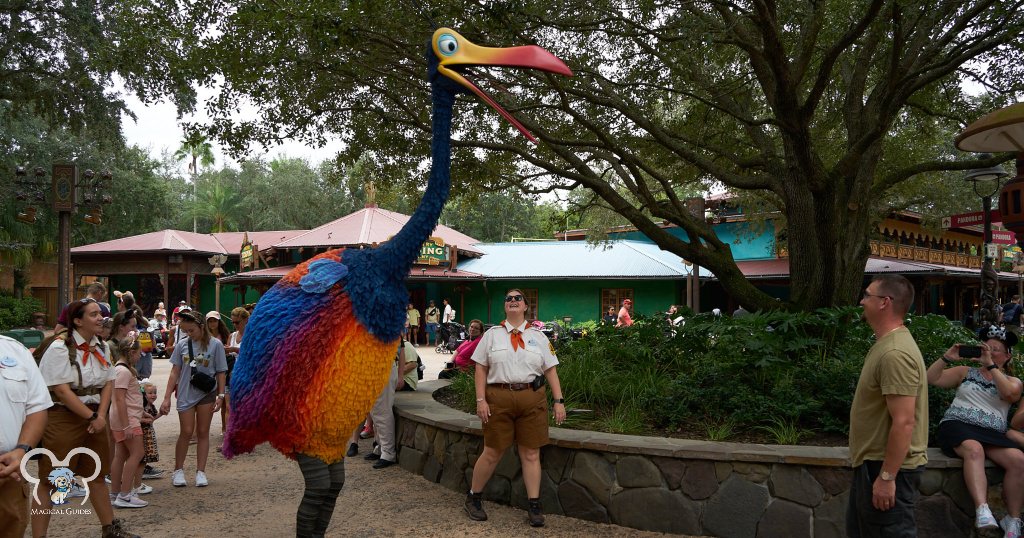 Kevin from Disney movie UP walking around meeting guests.